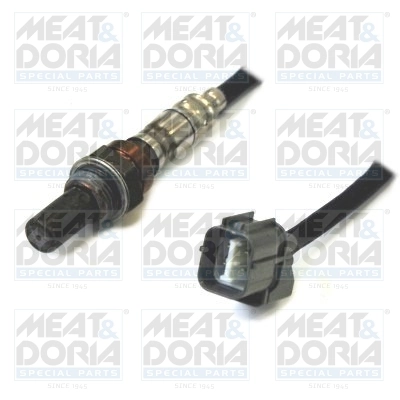 Oxygen Sensor
